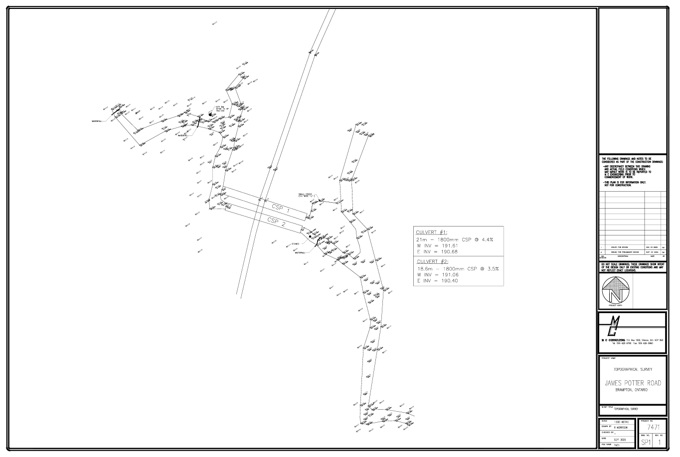 Topographical Survey preview